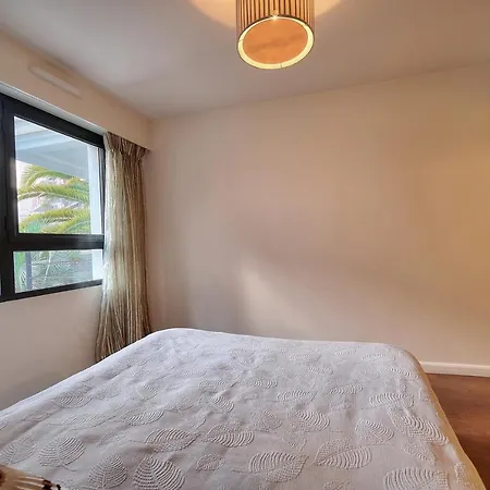 公寓 Carlton Riviera 戛纳